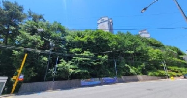 강원특별자치도 태백시 황지동 398-5  미지정 경매 물건 이미지