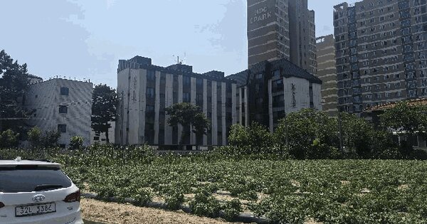 강원특별자치도 강릉시 송정동 110-58 송정오벨리스크 해솔동 5층 502호 미지정 경매 물건 이미지