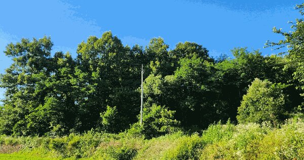 충청북도 충주시 중앙탑면 가흥리 산15-24  미지정 경매 물건 이미지