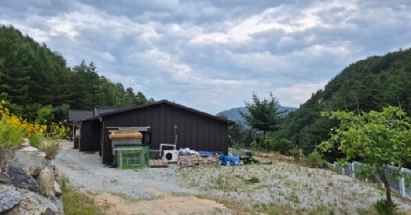 경상북도 울진군 금강송면 광회리 339-13  미지정 경매 물건 이미지