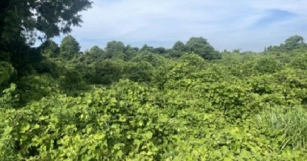 제주특별자치도 제주시 조천읍 와산리 1416-5  미지정 경매 물건 이미지
