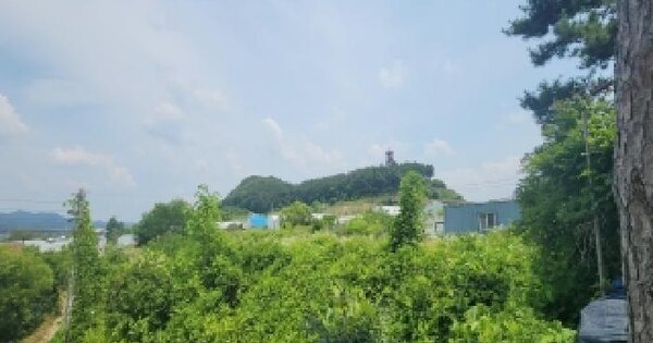 충청북도 옥천군 이원면 이원리 472  미지정 경매 물건 이미지