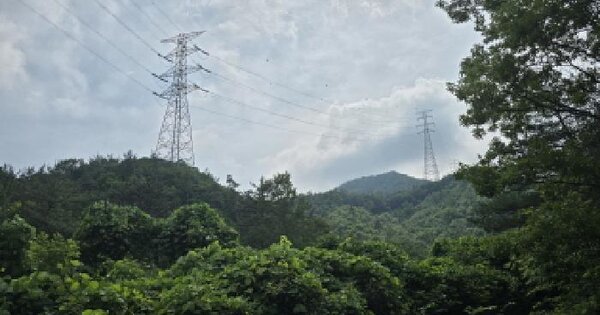 전라남도 장흥군 장평면 기동리 산175  미지정 경매 물건 이미지
