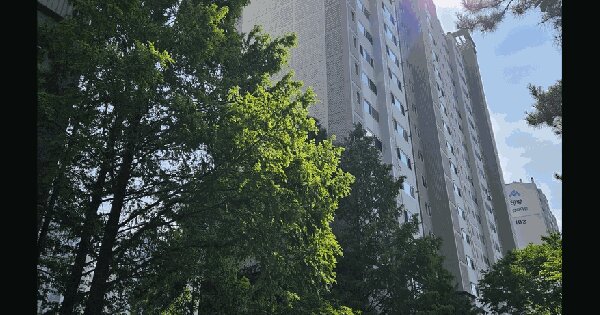대구광역시 수성구 범어동 906-1 유림노르웨이숲아파트 101동 11층1102호 미지정 경매 물건 이미지