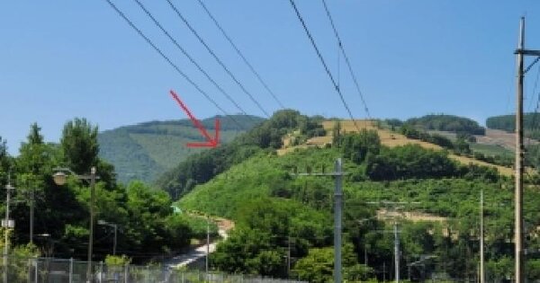 강원특별자치도 정선군 신동읍 조동리 산94  미지정 경매 물건 이미지