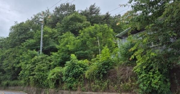 경상북도 울진군 근남면 산포리 1500  미지정 경매 물건 이미지