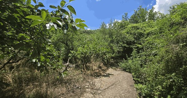 경상남도 진주시 문산읍 안전리 188-4  미지정 경매 물건 이미지