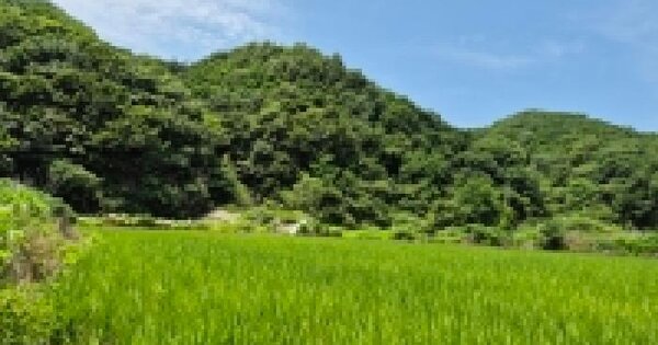 강원특별자치도 철원군 철원읍 율이리 417-2  미지정 경매 물건 이미지