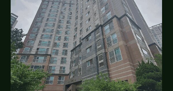 경기도 김포시 장기동 2065-1 초당마을우남퍼스트빌 501동 12층1201호 미지정 경매 물건 이미지