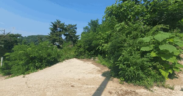 경기도 양평군 개군면 구미리 99-2  미지정 경매 물건 이미지