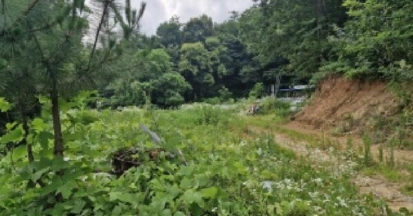 충청남도 보령시 내항동 37-5  미지정 경매 물건 이미지