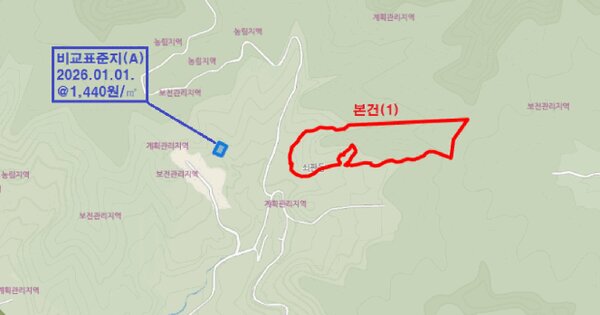 강원특별자치도 평창군 봉평면 면온리 산141-4  미지정 경매 물건 이미지
