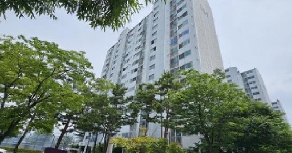 경상북도 영주시 가흥동 1488 영주가흥3단지 301동 11층1101호 미지정 경매 물건 이미지