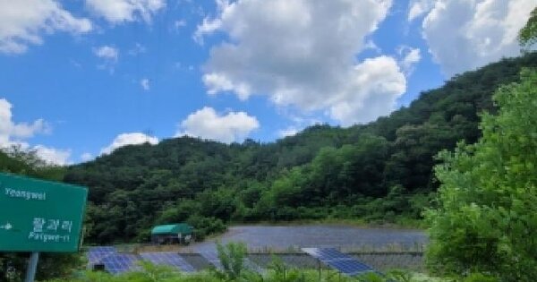 강원특별자치도 영월군 영월읍 흥월리 산101-19  미지정 경매 물건 이미지