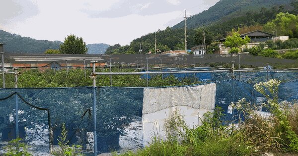 전라남도 장성군 장성읍 영천리 435-3  미지정 경매 물건 이미지