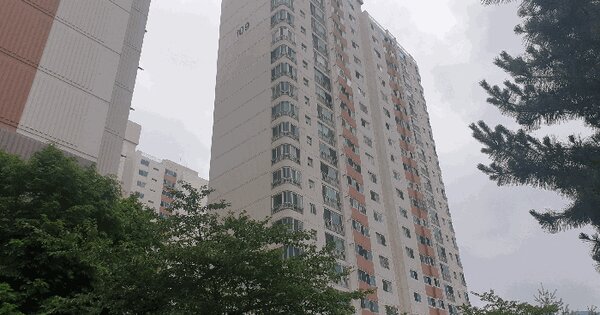 부산광역시 금정구 부곡동 244-7 부곡대우아파트 109동 14층1401호 미지정 경매 물건 이미지
