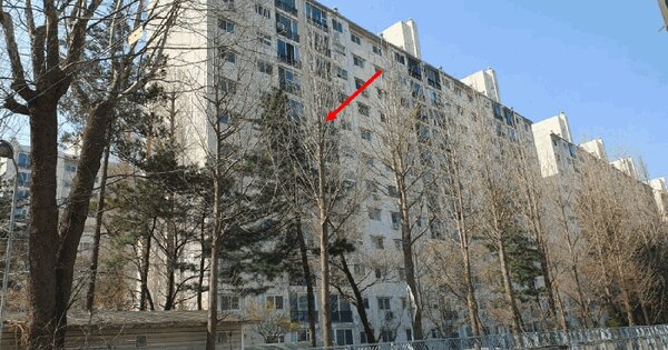 서울특별시 송파구 잠실동 101-1 우성아파트 1동 8층902호 아파트 경매 물건 이미지
