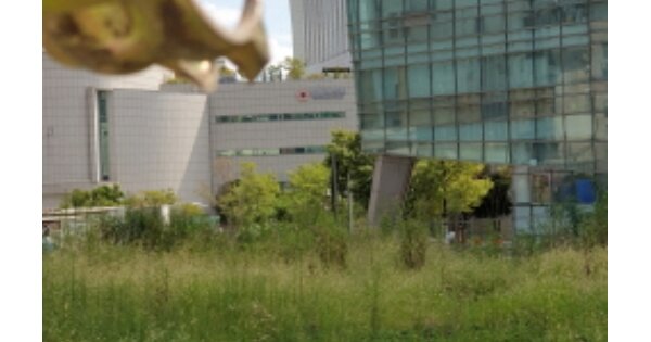 서울특별시 성동구 도선동 15 대지 경매 물건 이미지