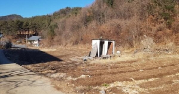 강원특별자치도 홍천군 서석면 청량리 338 전 경매 물건 이미지