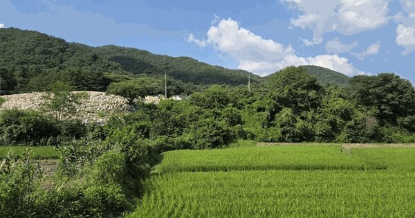 강원특별자치도 횡성군 서원면 유현리 805 전 경매 물건 이미지