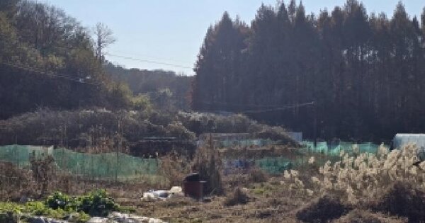 충청북도 충주시 목행동 355-7 답 경매 물건 이미지