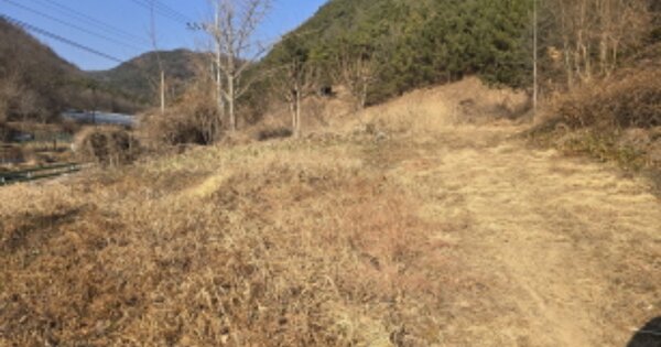 경상북도 경산시 하양읍 남하리 44 전 경매 물건 이미지