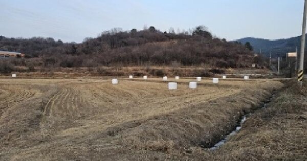 경상남도 진주시 문산읍 삼곡리 800-1 답 경매 물건 이미지