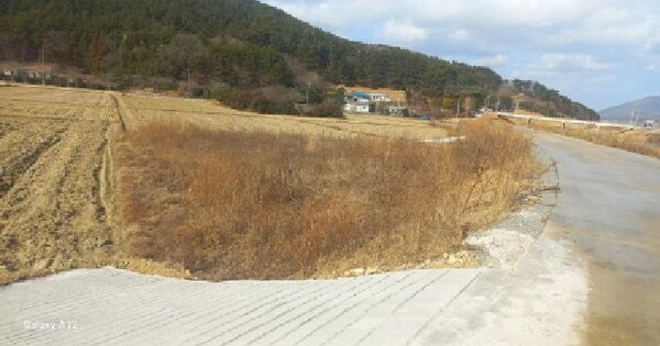 경상남도 거제시 동부면 산양리 1010-2 답 경매 물건 이미지