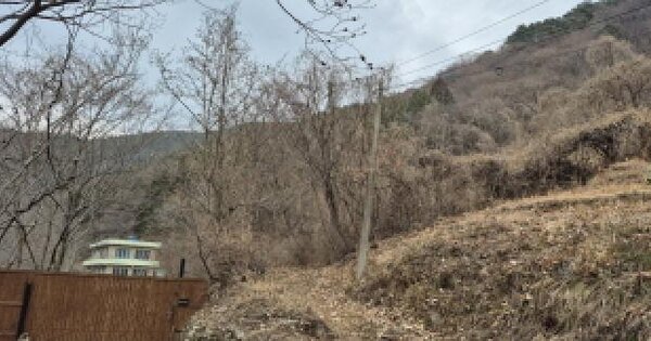 경상남도 고성군 하이면 와룡리 462 답 경매 물건 이미지