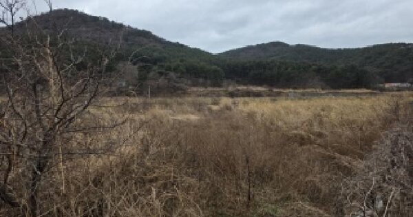 경상남도 통영시 한산면 두억리 350-4 답 경매 물건 이미지