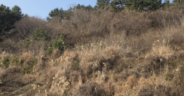 경상남도 거제시 사등면 창호리 2285 전 경매 물건 이미지