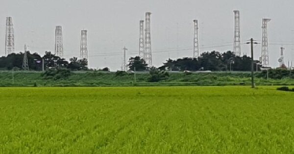 전북특별자치도 김제시 백산면 하서리 526-3 답 경매 물건 이미지