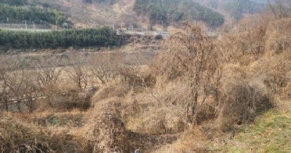 전라남도 구례군 구례읍 계산리 산482 임야 경매 물건 이미지