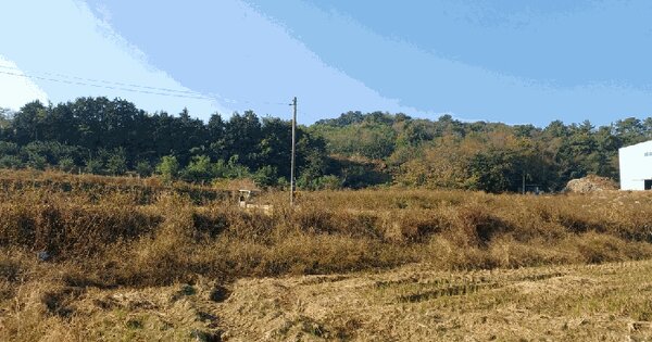 전라남도 고흥군 도덕면 신양리 200 답 경매 물건 이미지