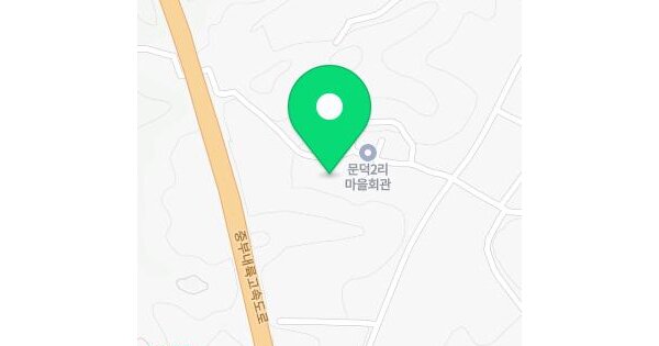 경상북도 성주군 초전면 문덕리 산38  미지정 경매 물건 이미지