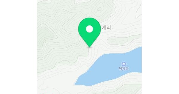 전라남도 담양군 봉산면 기곡리 산49-2  미지정 경매 물건 이미지