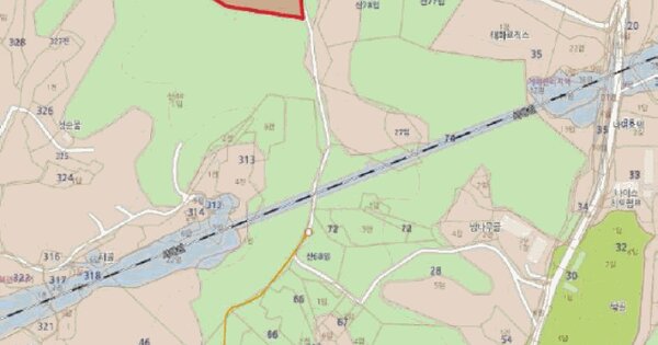 충청남도 아산시 인주면 금성리 산28  미지정 경매 물건 이미지