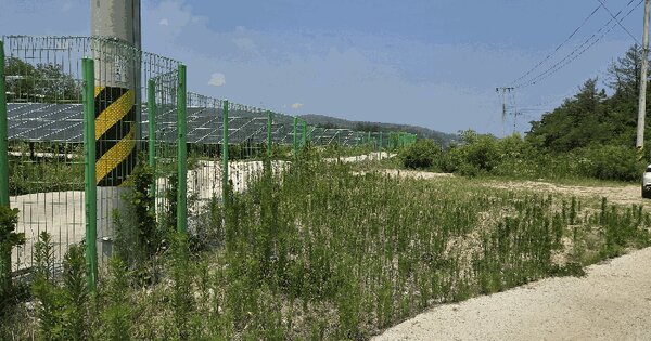 경상북도 포항시 북구 청하면 이가리 712  미지정 경매 물건 이미지