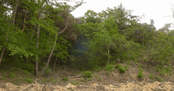 경상북도 경주시 천북면 화산리 산176-2 임야 경매 물건 이미지
