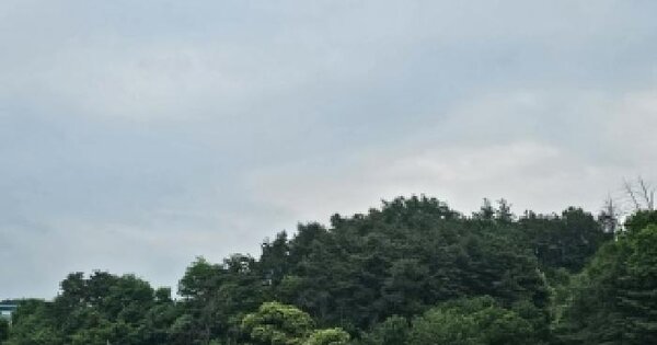경상북도 영주시 하망동 267-11  미지정 경매 물건 이미지