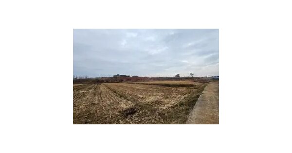 전라남도 영암군 시종면 구산리 2177-4 답 경매 물건 이미지