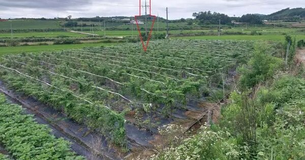 전라북도 고창군 아산면 남산리 640 대지 경매 물건 이미지