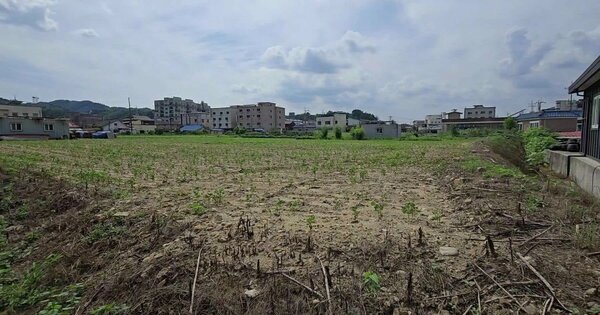 충청북도 충주시 대소원면 대소리 27-1 답 경매 물건 이미지