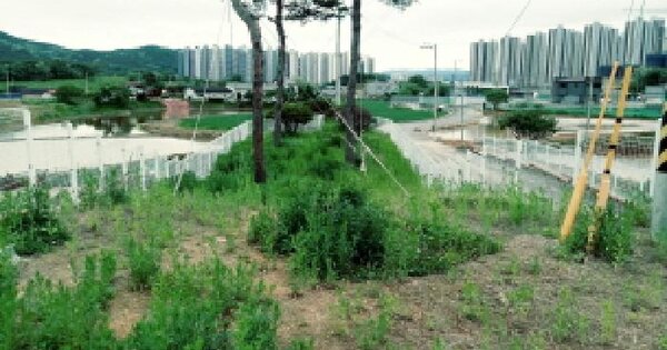 경기도 안성시 대덕면 소현리 287-16 답 경매 물건 이미지