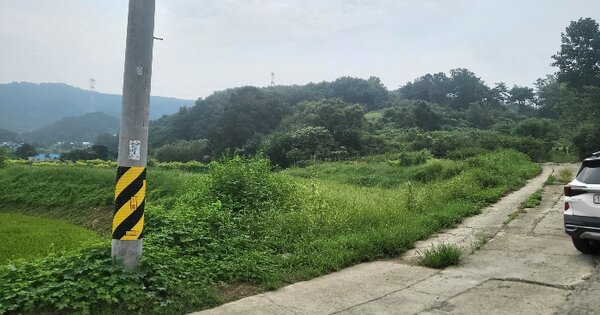 세종특별자치시 전의면 양곡리 275-8 전 경매 물건 이미지