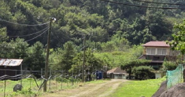 경상북도 경산시 하양읍 사기리 73 답 경매 물건 이미지