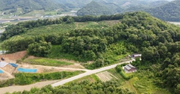 충청북도 괴산군 불정면 웅동리 193-4 대지 경매 물건 이미지