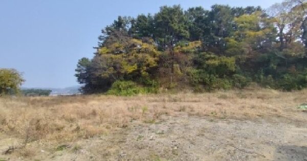 충청남도 서천군 서천읍 화성리 243-6 답 경매 물건 이미지