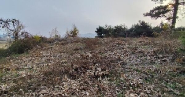 충청남도 서천군 한산면 송곡리 111-1 임야 경매 물건 이미지