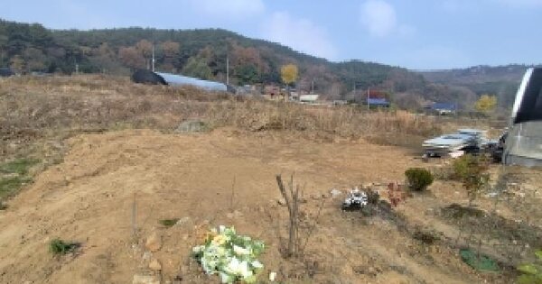 충청남도 서천군 종천면 산천리 550 답 경매 물건 이미지